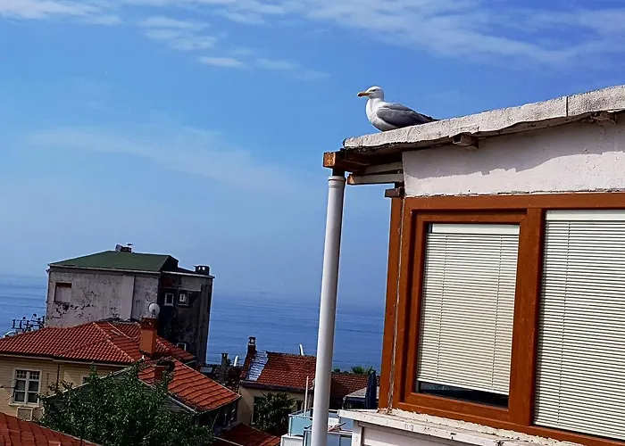 Fuat Bey Palace & Hotel